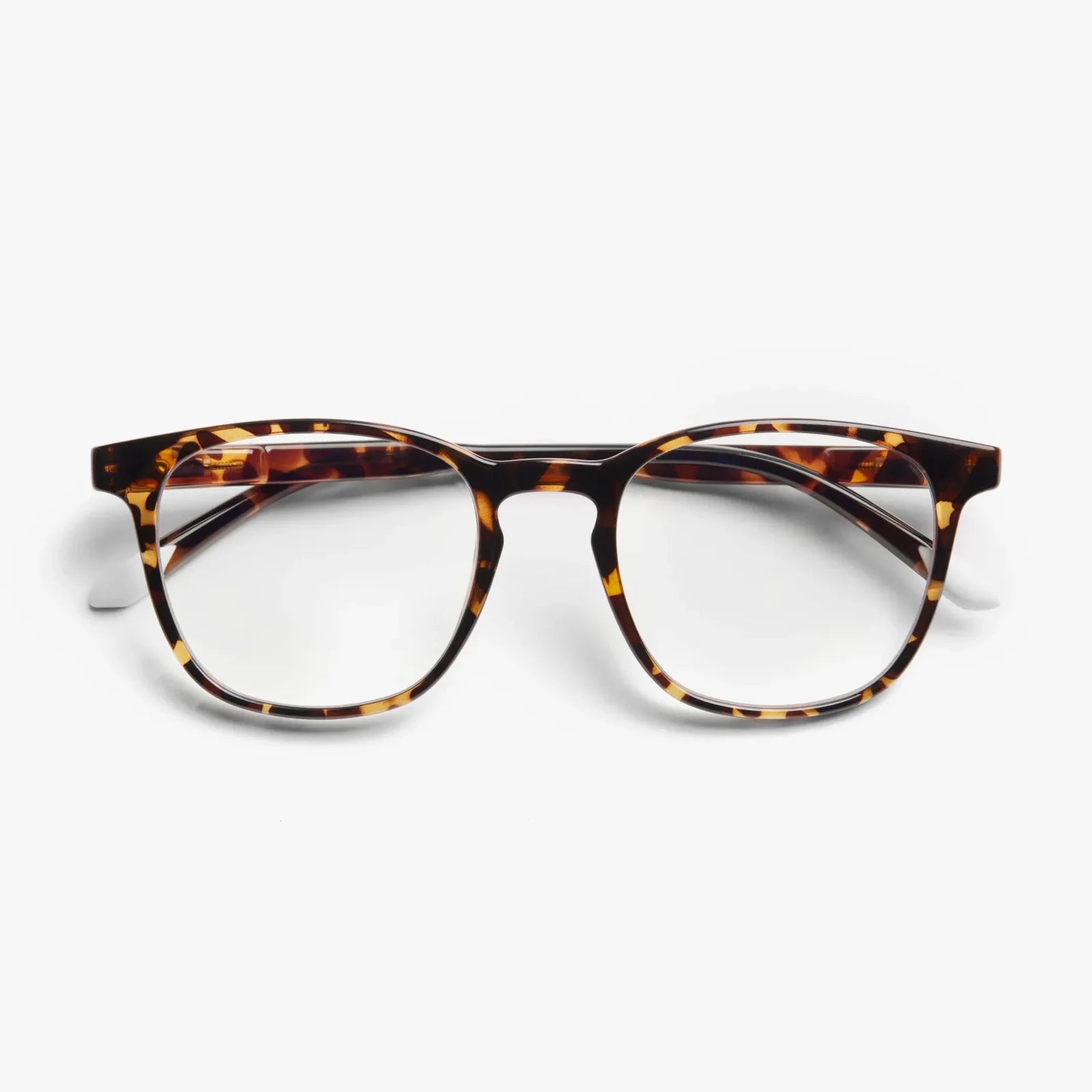 #Color_Tortoise