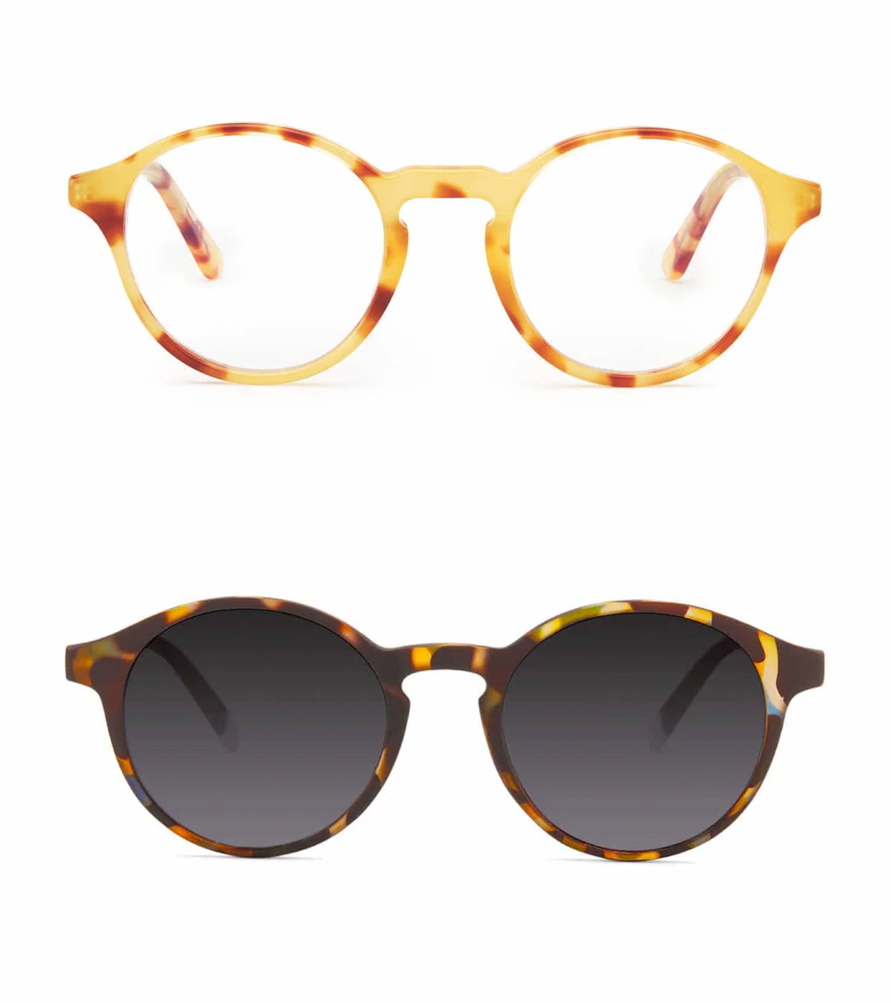 Shoreditch - Light Havana + Le marais Sun