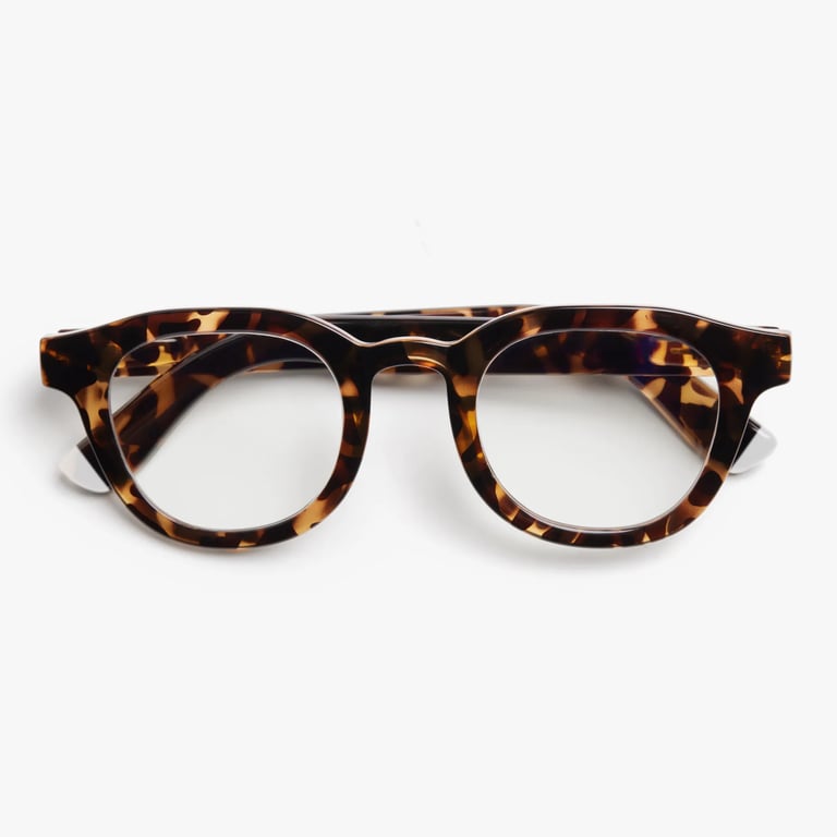 #color_Tortoise