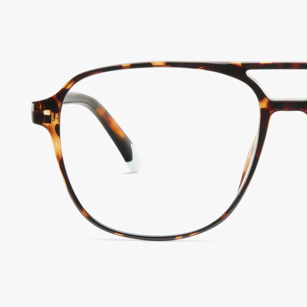 #color_Tortoise