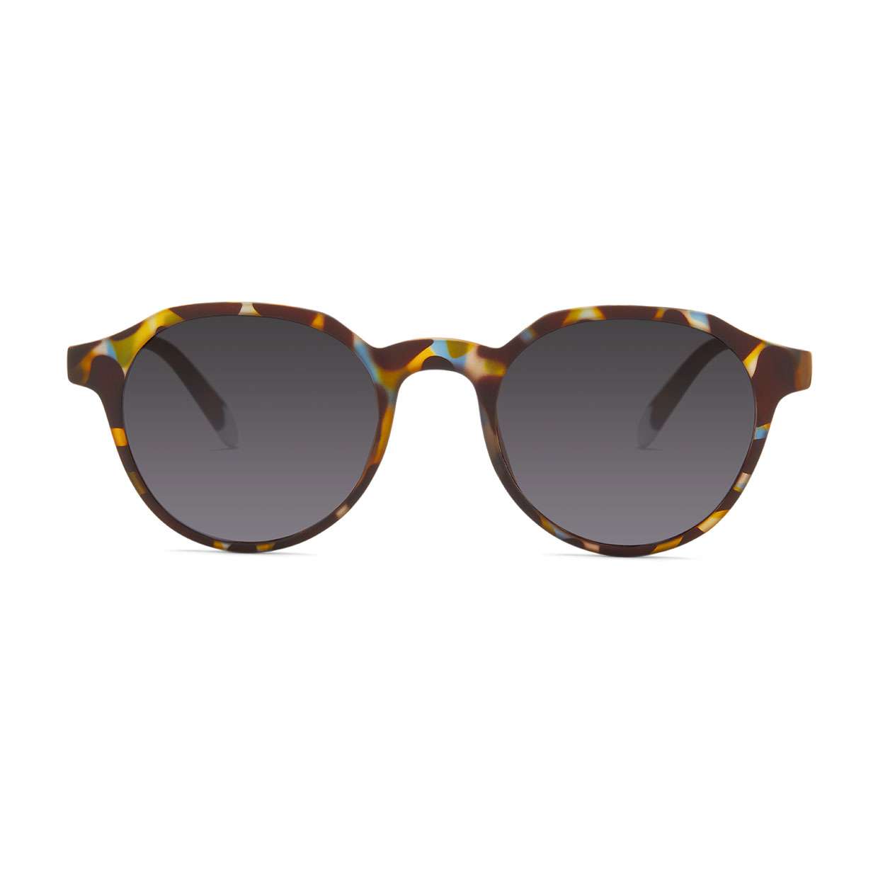 #color_Blue Tortoise