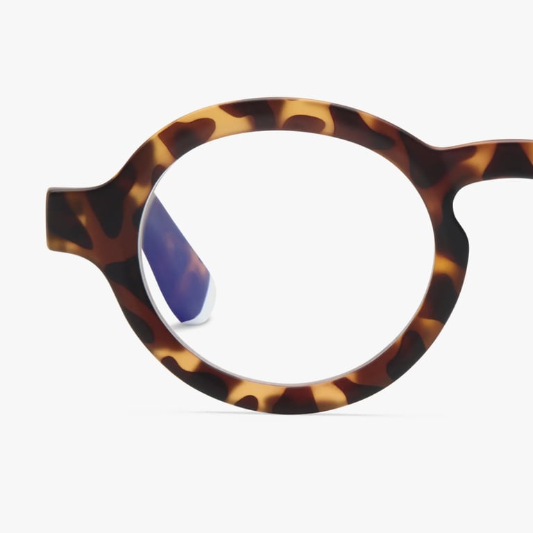 #color_Tortoise