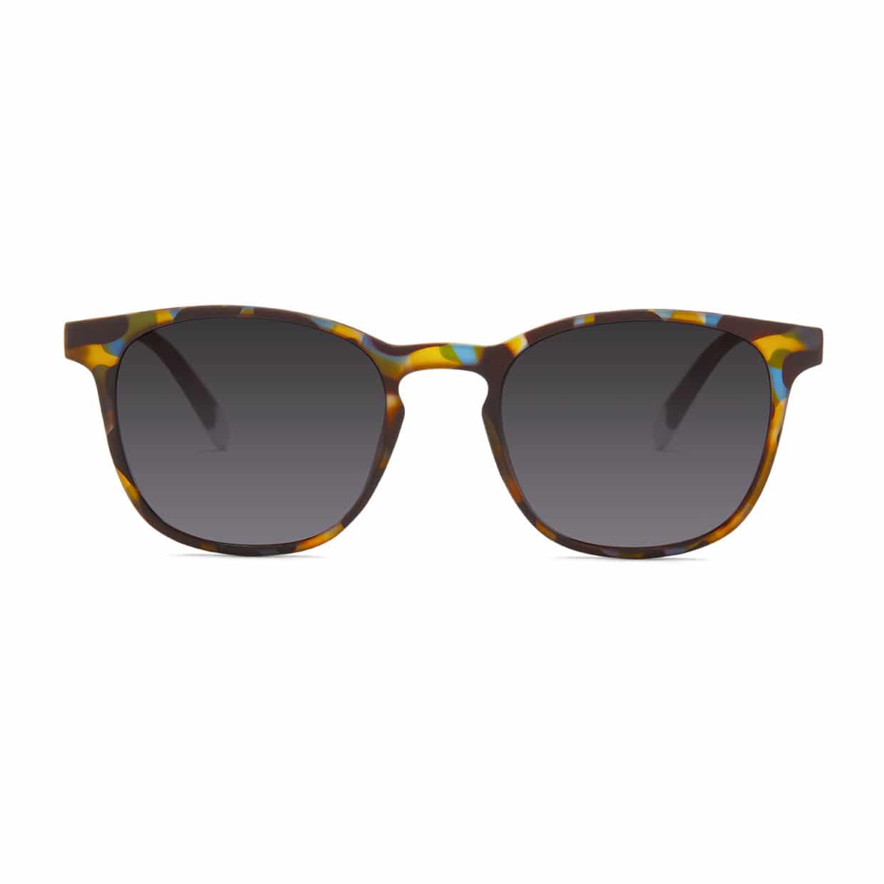 #color_Blue Tortoise
