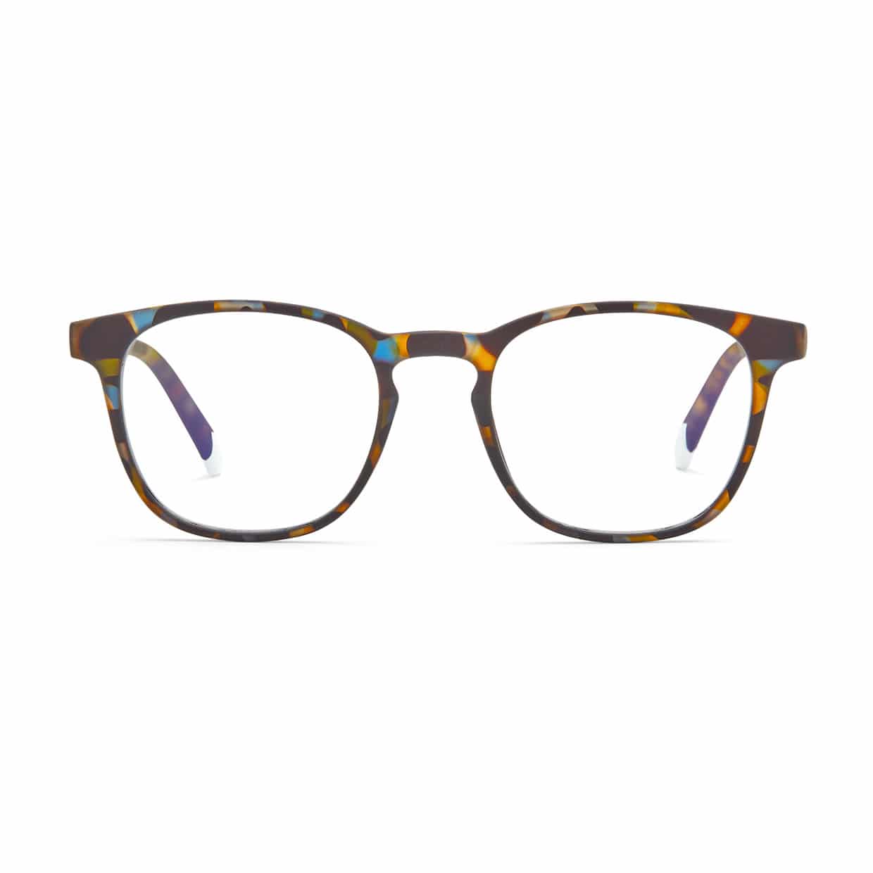 #color_Blue Tortoise
