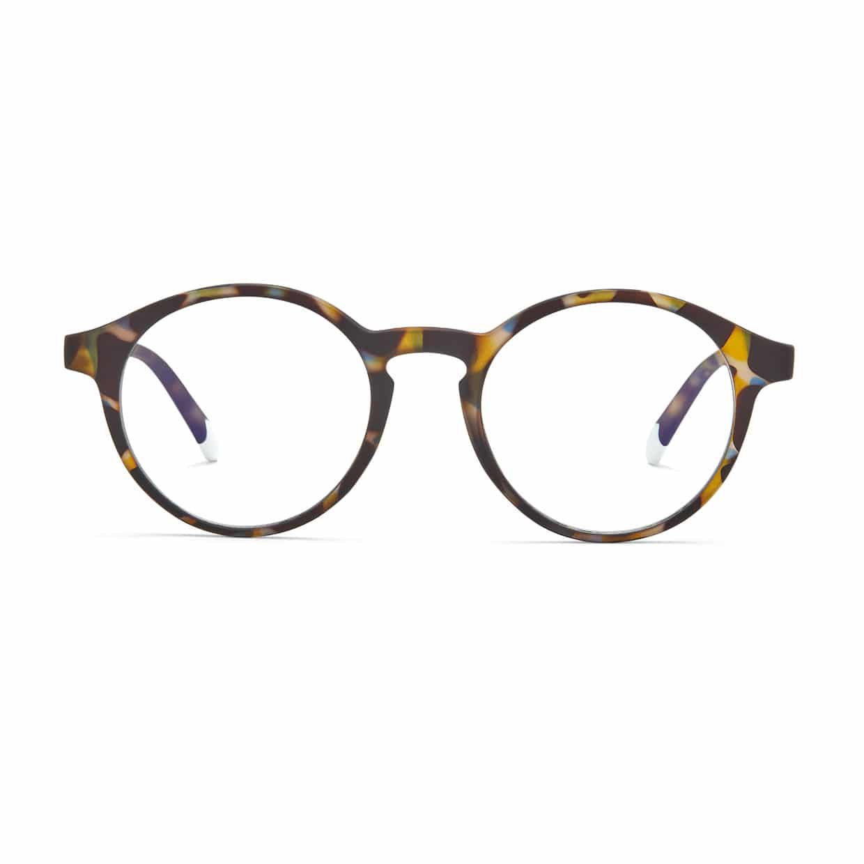 #color_Blue Tortoise