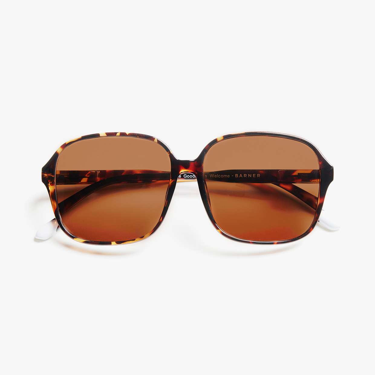 #color_Tortoise