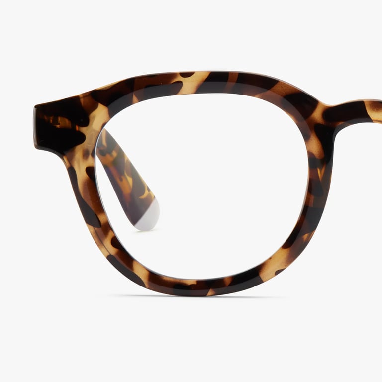 #color_Tortoise