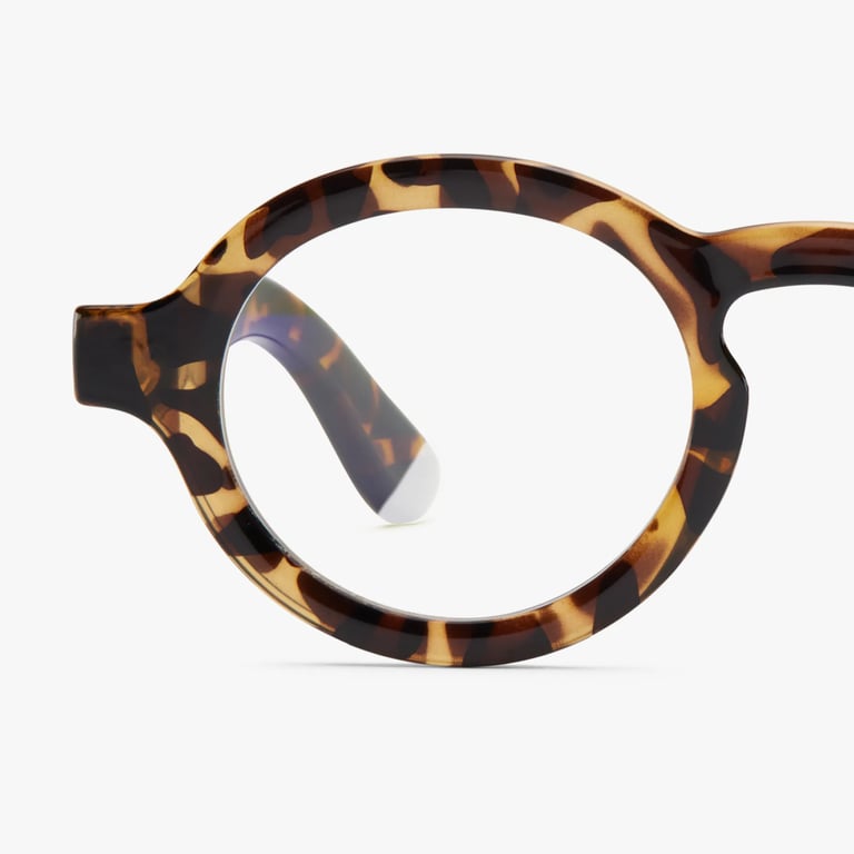 #color_Tortoise