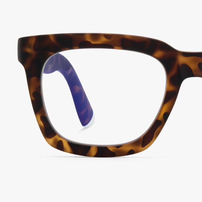 #color_Tortoise